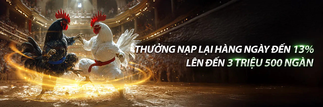 Sân chơi suncty cho thành viên
