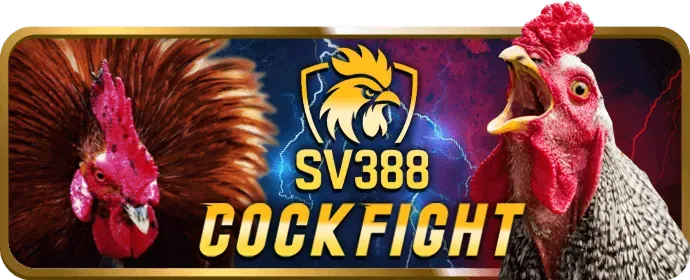 Hướng dẫn nạp tiền suncty game